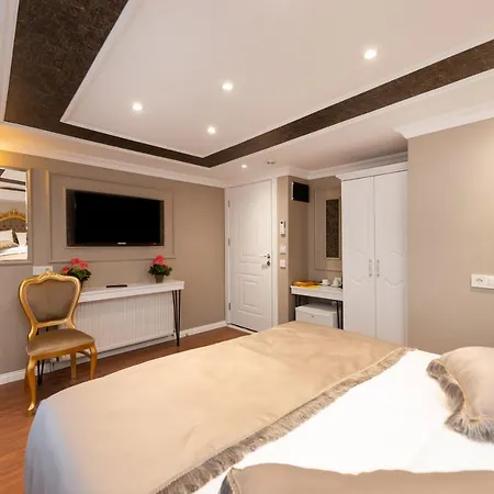 Azalea Mansion Oldcity * Stambuł