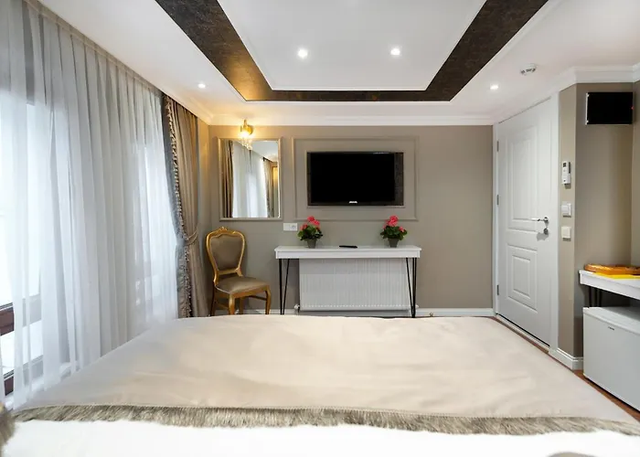 Azalea Mansion Oldcity Istanbul